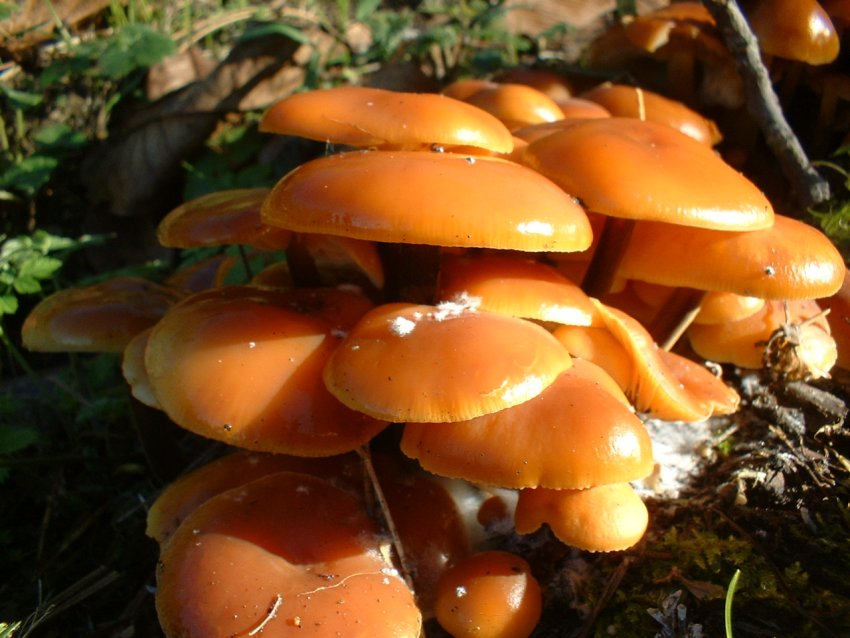 ultimi della stagione